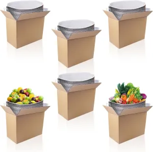 6 Pack Insulated Shipping Boxes with Aluminum Foil Liner, 11’’X6’’X7.9’’ Cold Shipping Boxes, Reusable Styrofoam Cooler Box, Small Mailing Box for Shipping Mailing Packing