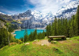 BELECO 15x10ft Fabric Mountain Lake Landscape Backdrops for Photography Alps Mountains Blue Lake Green Forest Pine Trees Nature Scenery Background Outdoor Hiking Portrait Photo Shoot Studio Props
