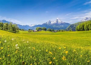 BELECO 6x4ft Fabric Spring Nature Backdrop Alps Landscape Green Meadows Blooming Flowers Snow-Capped Mountain Tops Photography Background Birthday Wedding Photography Portraits Shooting Wallpaper