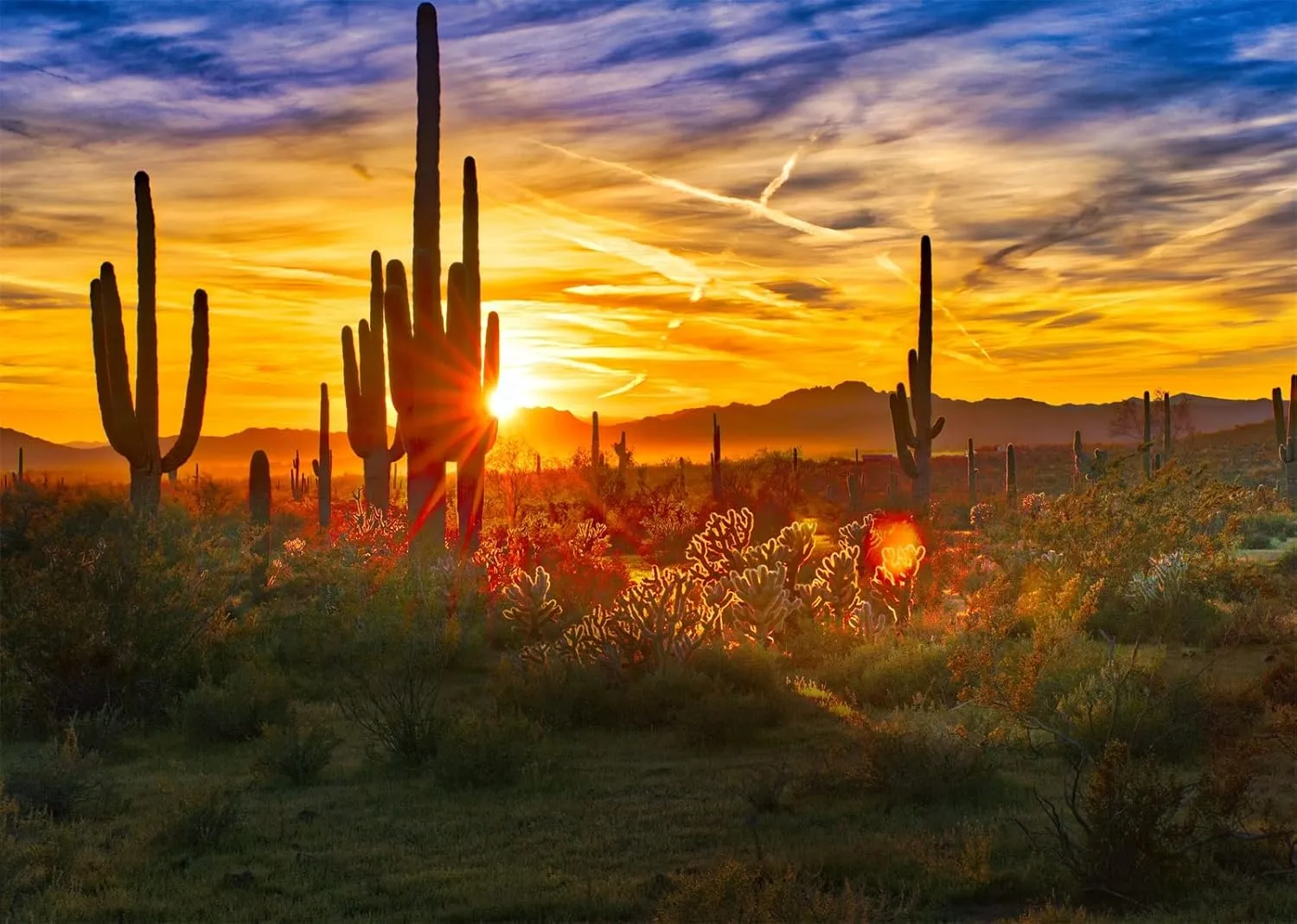 BELECO 7x5ft Fabric Arizona Desert Scenery Backdrop for Photography Saguaros Cactus Wilderness Mountains Sonoran Desert Sunset Background Western Desert Theme Party Decorations Photo Studio Props