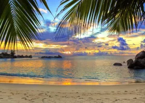 BELECO Sunset Beach Backdrop 7x5ft Fabric Summer Tropical Sea Palm Tree Hawaii Scenery Background Birthday Wedding Party Decor Baby Shower Photoshoot Prop Kids Adults Family Portrait Photo Prop