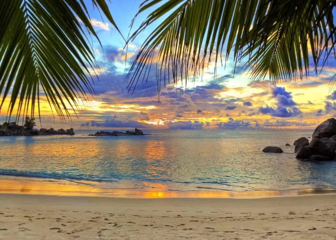BELECO Sunset Beach Backdrop 7x5ft Fabric Summer Tropical Sea Palm Tree Hawaii Scenery Background Birthday Wedding Party Decor Baby Shower Photoshoot Prop Kids Adults Family Portrait Photo Prop