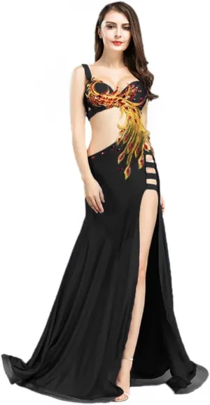 Belly Dance Dress Belly Dance Costume Dancer Costumes for Women Phoenix Dancing Dresses Carnival Outfit