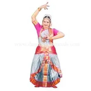 Bharatanatyam Dress | Skirt  Double Cross | Dance Costumes
