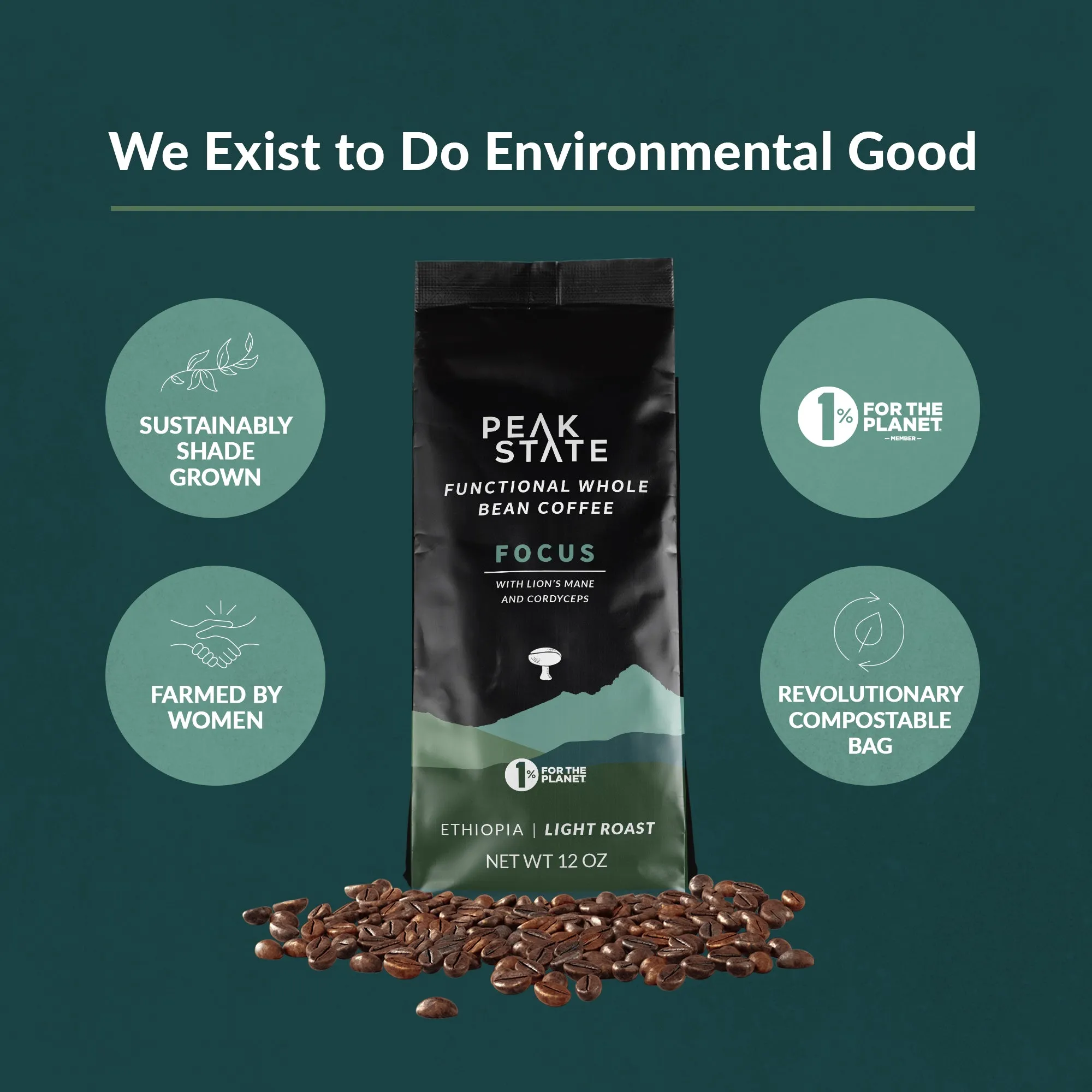 BRAIN SUSTAIN Light Roast - Three Pack (3 x 12 oz Bags)