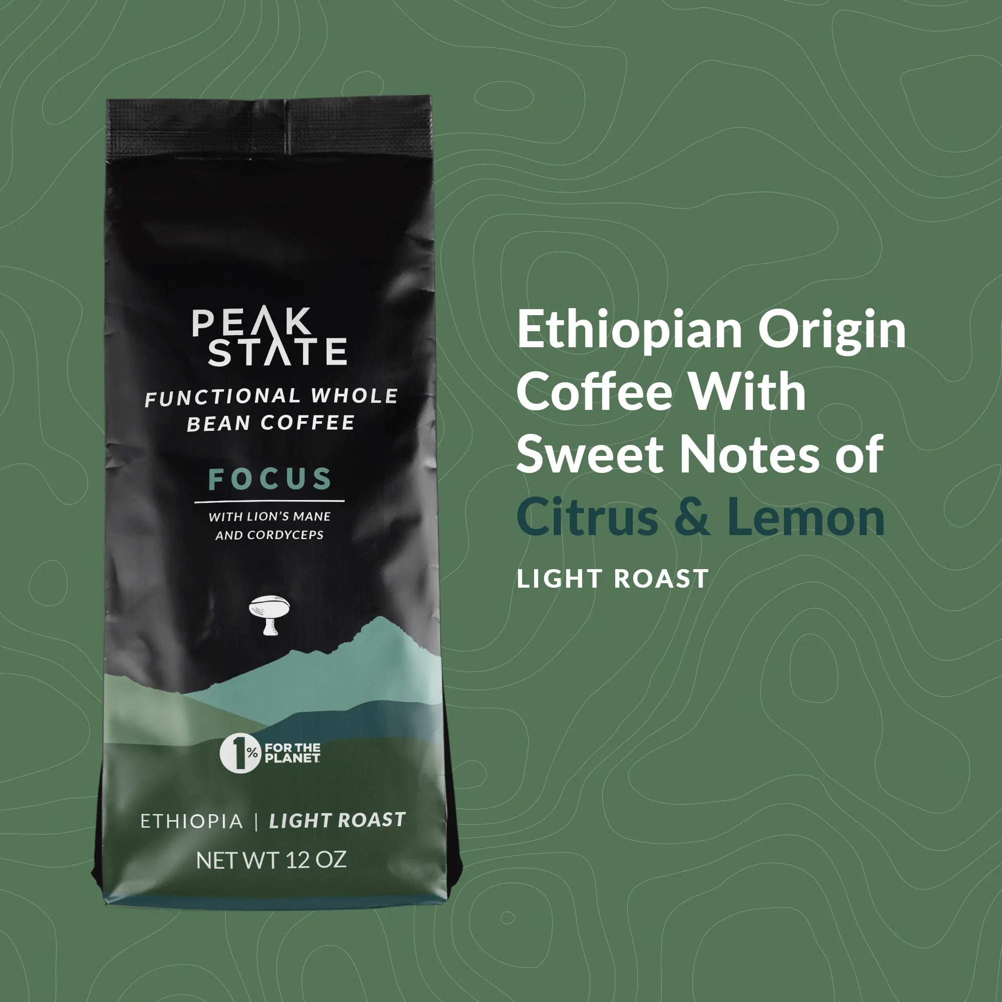 BRAIN SUSTAIN Light Roast - Three Pack (3 x 12 oz Bags)