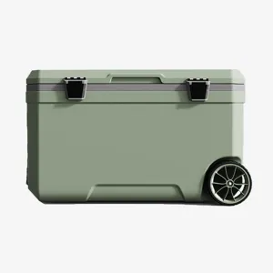 Car Camping Coolers for Aston Martin DB4/DB5/DB6/DB7/DB9/Lagonda/Virage, Waterproof Portable Cooler, Leak Proof Picnic Insulated Bag, Ultra-Light Premium Ice Chest Box,A-Green-70L