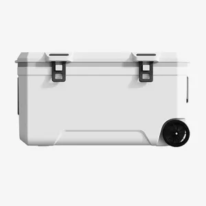Car Camping Coolers for Mitsubishi ASX/Colt/Delica D:2/Delica D:5/Eclipse Cross, Waterproof Portable Cooler, Leak Proof Picnic Insulated Bag, Ultra-Light Premium Ice Chest Box,B-White-120L