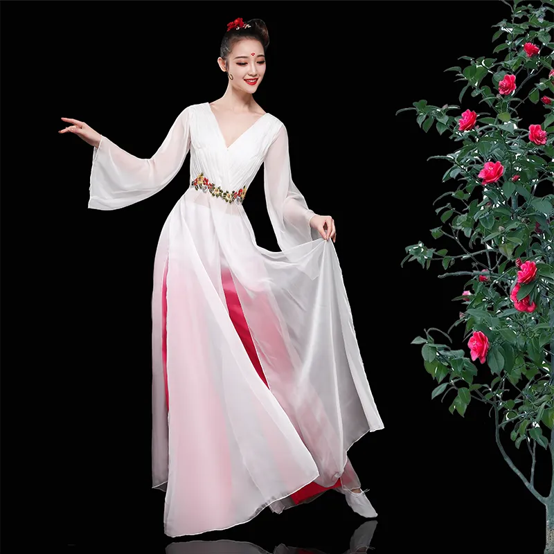 Chinese Folk Dance Costume Classical Dance Costume Female Chinese Fresh and Elegant Modern Dance Costume Water Sleeve Fan Dance