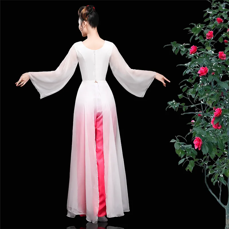 Chinese Folk Dance Costume Classical Dance Costume Female Chinese Fresh and Elegant Modern Dance Costume Water Sleeve Fan Dance