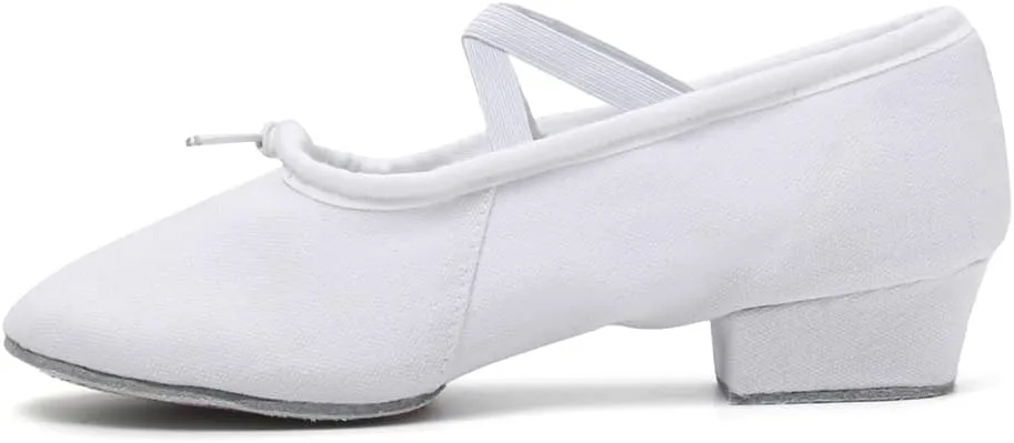 DKZSYIM Womens Latin Dance Shoes Close Toe Beginner Ballroom Dance Practice Shoes,Model 101