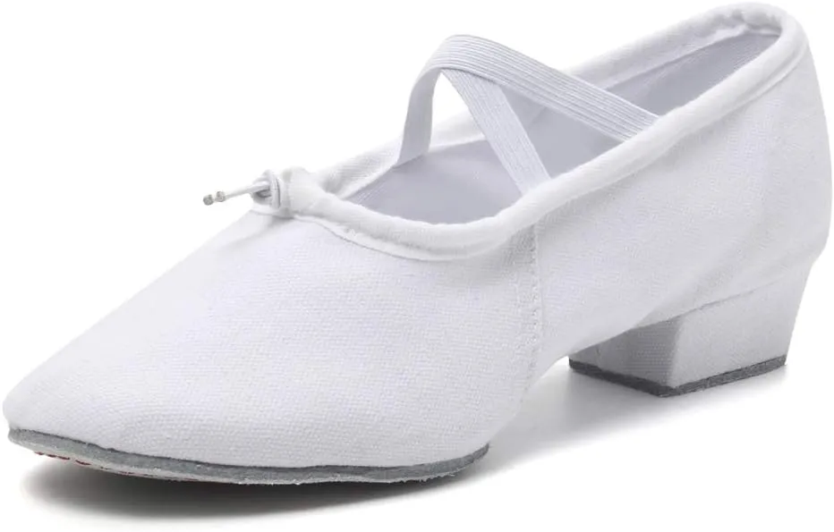 DKZSYIM Womens Latin Dance Shoes Close Toe Beginner Ballroom Dance Practice Shoes,Model 101