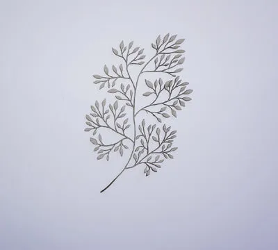 Fine Leafy Bush