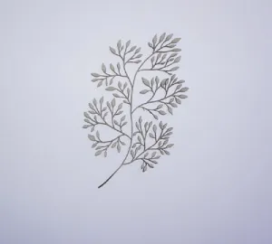 Fine Leafy Bush