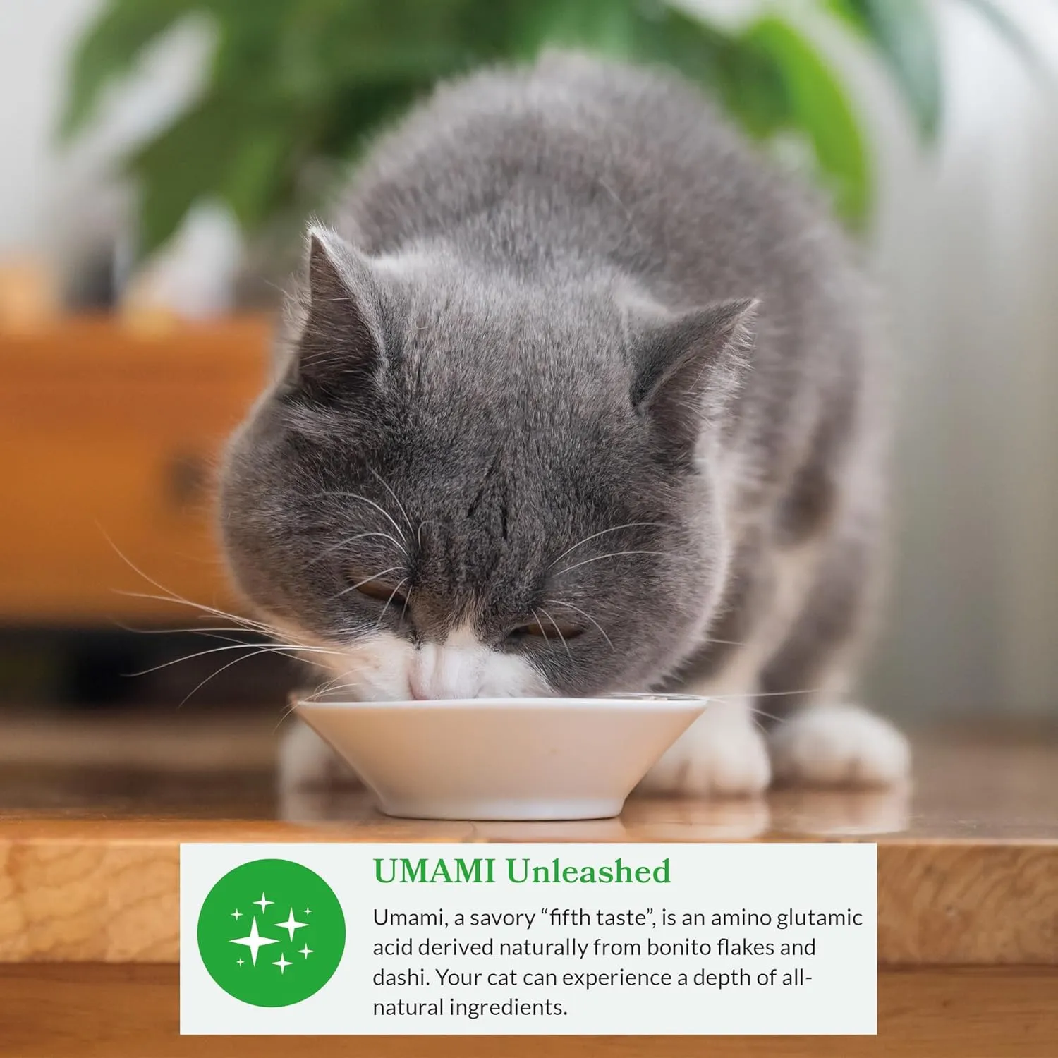 INABA Dashi Delights for Cats, Shredded Chicken with Bonito Flake Broth, 2.5 Ounce Cup, 12 Cups Total, Tuna Variety