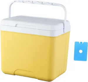Insulated Cooler Camping Storage Case Cooling Bucket Multifunctional Ice Chest Box Organizer for Barbecue Groceries Traveling