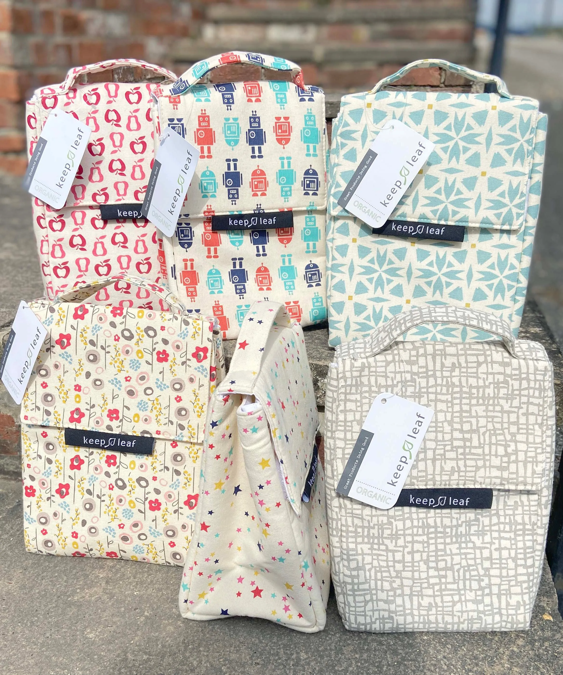 Keep Leaf Insulated Lunch Bag