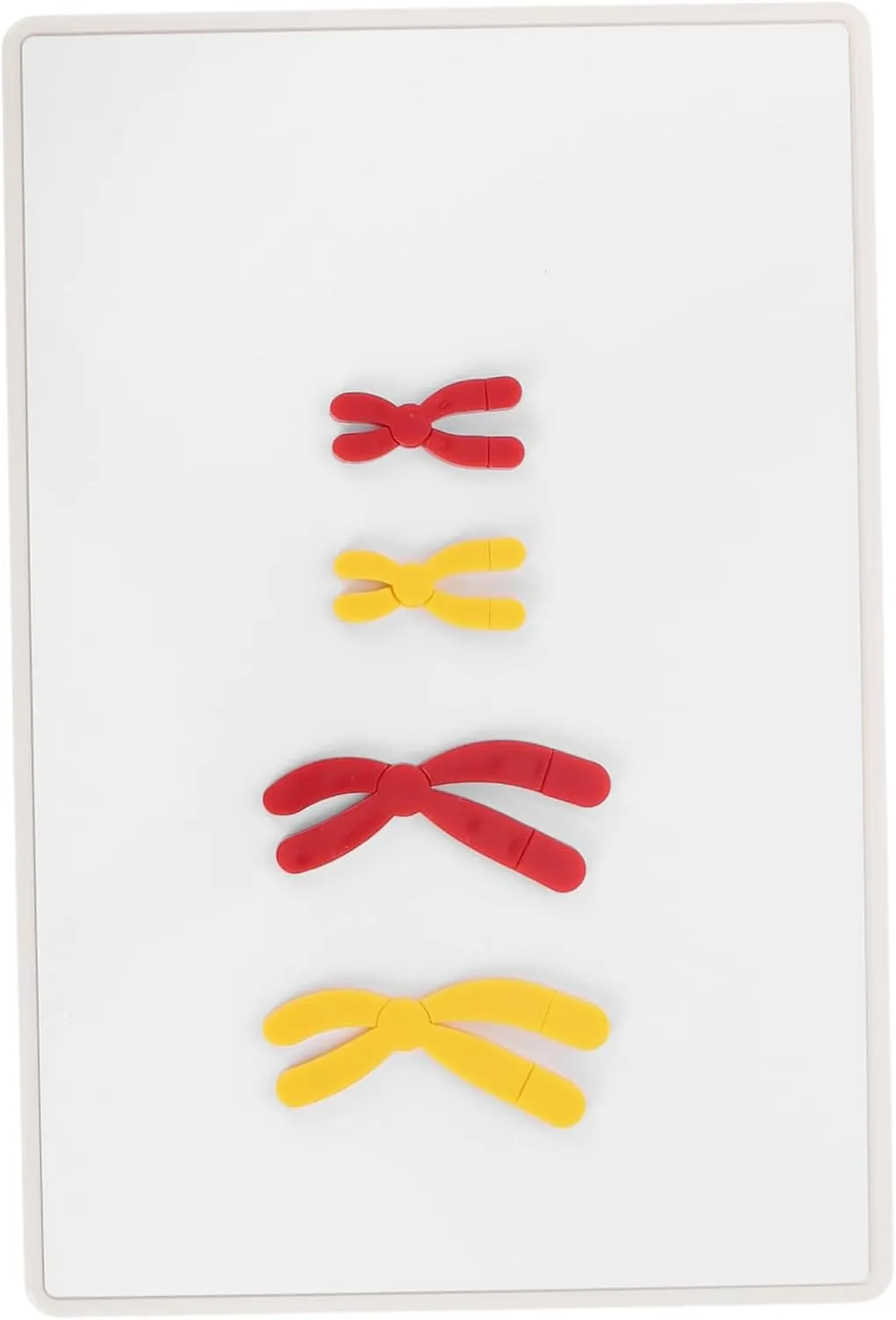 Kisangel Biology Supply Middle School Change Models Easy Magnetic Assembly Display