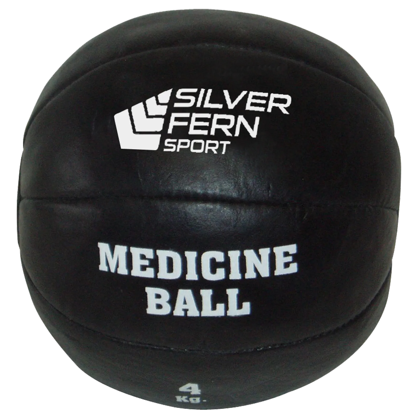 Leather Medicine Ball