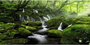 Leyiyi 20x10ft Forest Waterfall Backdrop Graceful Natural Scenery Photography Background Spring Scenery Misty Jungle Rock Mountain Flowing Stream Rainforest Birthday Party Events Photo Studio Props