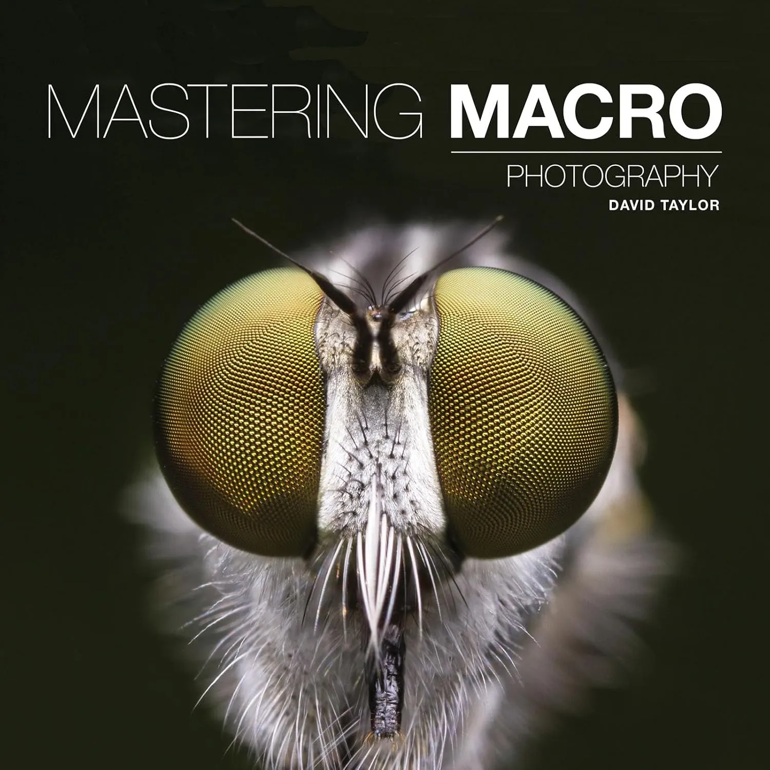 Mastering Macro Photography Paperback – October 1, 2017