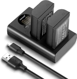 NEEWER DMW-BLK22 Replacement Battery and Charger Set, 2 Pack 2400 mAh Batteries and Type C Dual Channel USB Charger, Compatible with Panasonic Lumix DC-S5 DC-S5 II DC-S5 IIX GH5 II GH6 S5II S5M2 GH5M2
