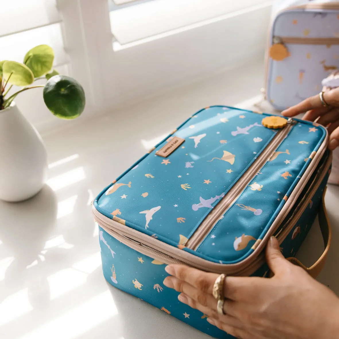 Ocean Creatures Marine Lunch Bag | Fox & Fallow