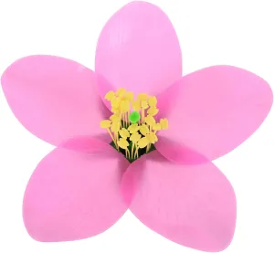 Peach Blossom Model for Biology Education Detailed Anatomy Teaching Tool Replicated Structure for High School Middle School Science Classroom