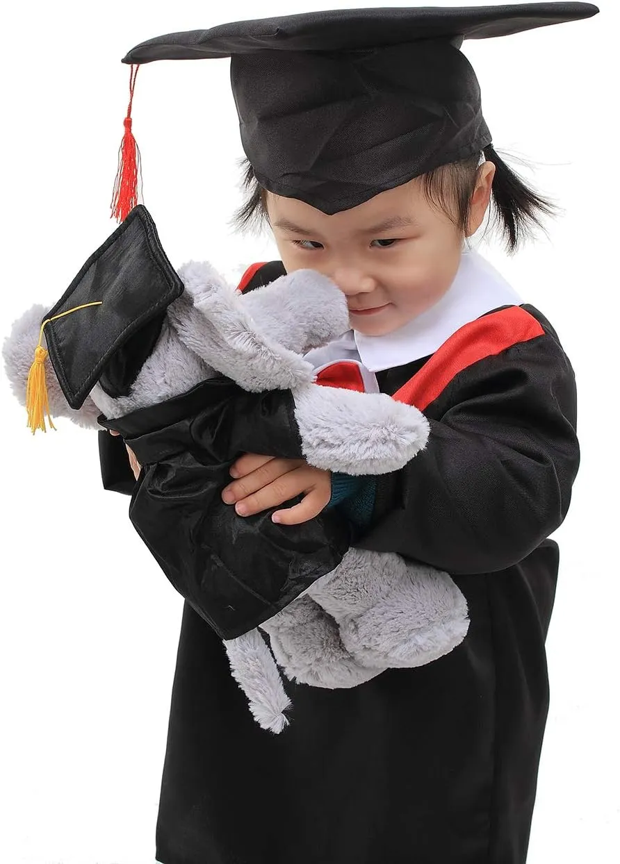 Plushland Tiger Plush Stuffed Animal Toys Present Gifts for Graduation Day, Personalized Text, Name or Your School Logo on Gown, Best for Any Grad School Kids 12 Inches(Royal Cap and Gown)