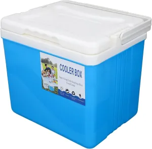 Portable Cooler Box, Insulated Cool Box 6L Foldable Handle Multifunctional for Picnic