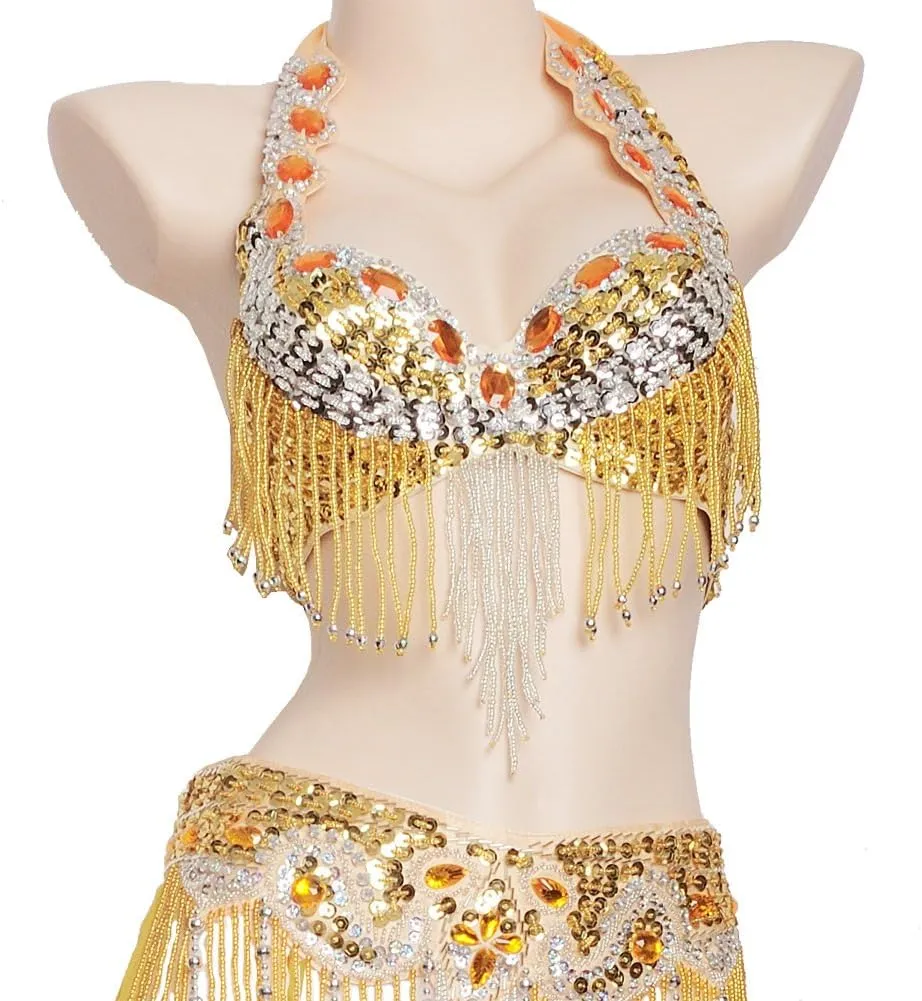 ROYAL SMEELA Belly Dance Costume Set for Women Belly Dance Bra and Belt Chiffon Dancing Skirts Professional Outfit 3pcs
