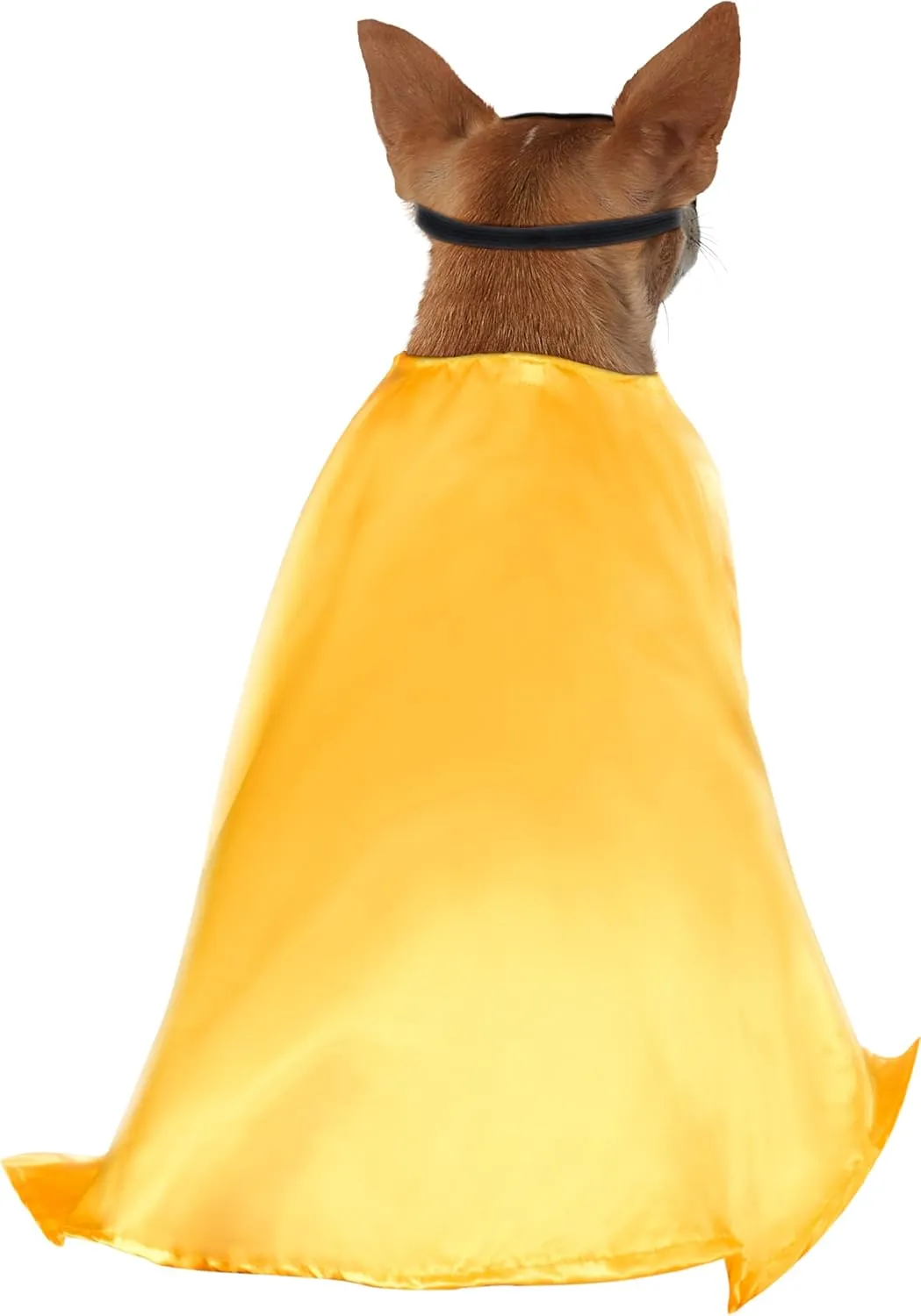 Rubies DC Comics Teen Titans Robin Pet Costume, XXX-Large for Themed Parties and Halloween