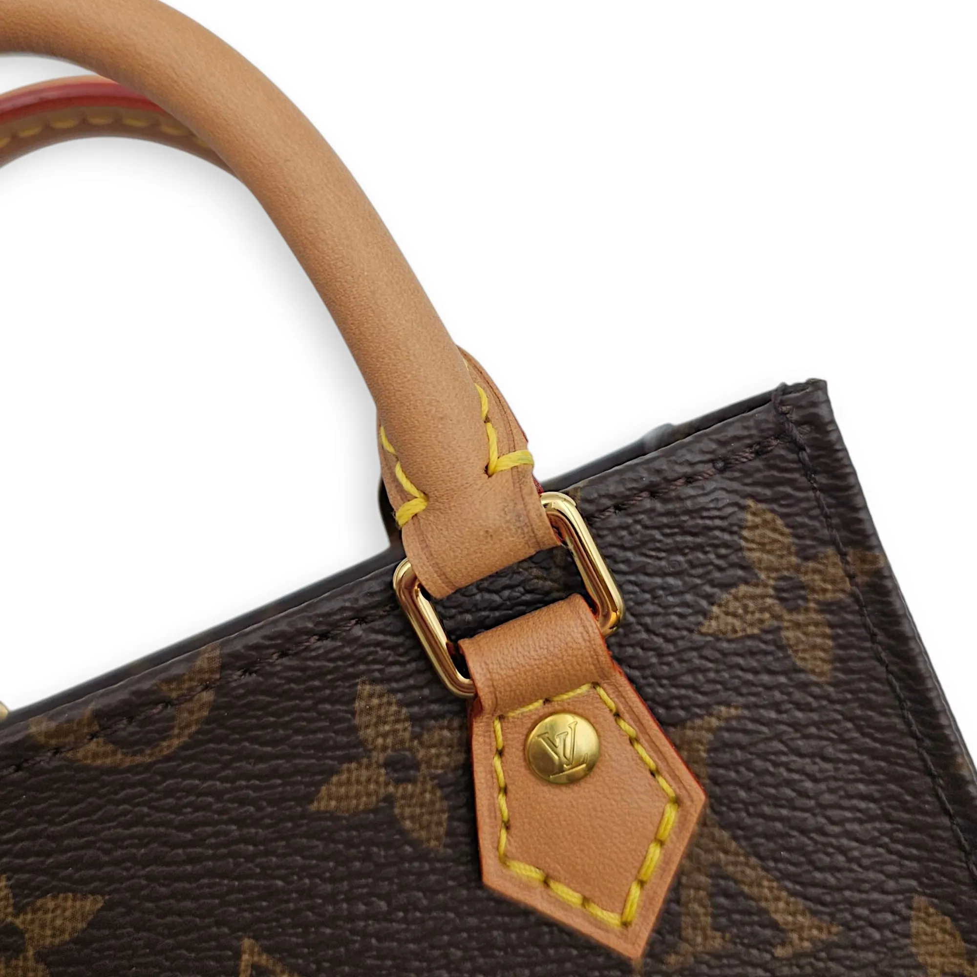 Sac Plat Petite Brown Crossbody Bag in Canvas, Gold hardware