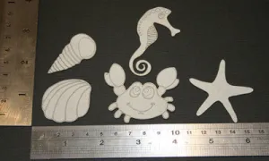 Seashells
