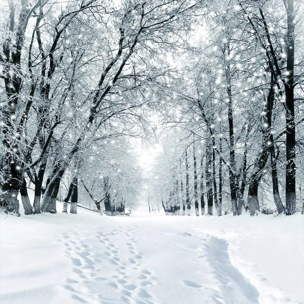 SJOLOON Winter Backdrop Snow Photography Backdrop Customized Vinyl Photo Background Studio JLT-9207(10x10FT)