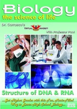 Structure of DNA & RNA