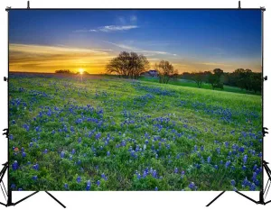Texas Bluebonnet Field at Sunrise Photography Backdrop Photographer Portrait Banner Photo Studio Photobooth Prop Photography Background Decoration Supplies 7×5ft