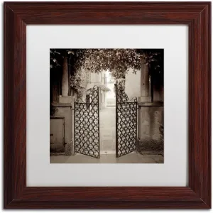 Trademark Fine Art ALI5097-W1111MF Venezia VI, 11x11-Inch