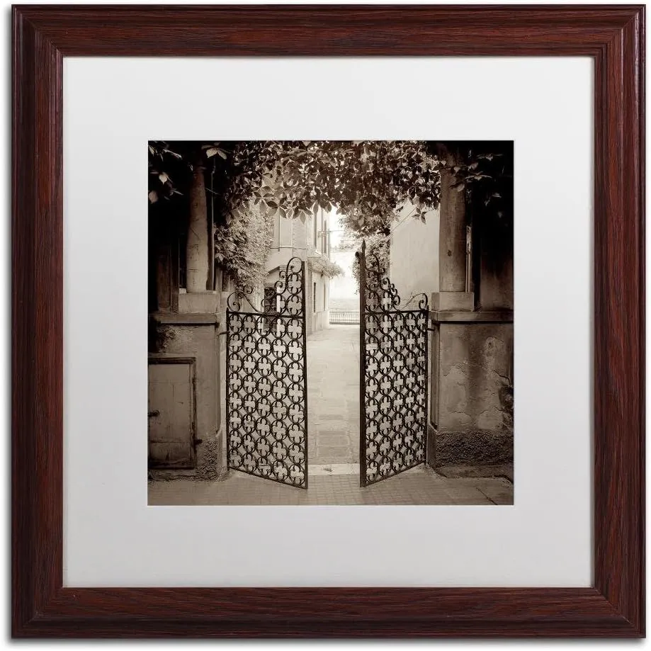 Trademark Fine Art ALI5097-W1616MF Venezia VI, 16x16-Inch