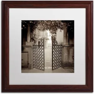 Trademark Fine Art ALI5097-W1616MF Venezia VI, 16x16-Inch