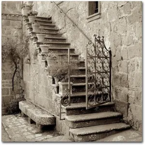Trademark Fine Art ALI5103-C1414GG Umbria Scala I