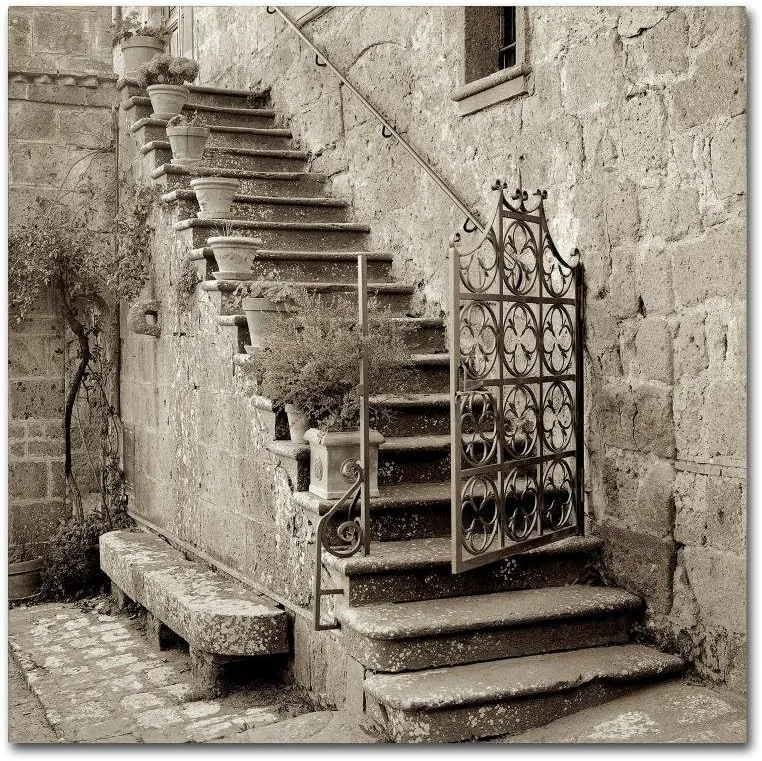 Trademark Fine Art ALI5103-C1414GG Umbria Scala I
