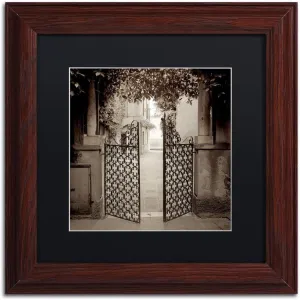 Trademark Fine Art Venezia VI Artwork, 11x11-Inch