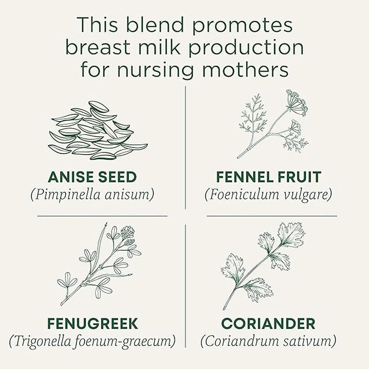 Traditional Medicinals Organic Mother's Milk Tea | 16 tea bags | 28 g | Supports Lactation with Fennel, & Fenugreek | Caffeine-Free Herbal Tea for Nursing Mothers